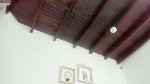  ARI  online show from March 2025 03:39:01 AM