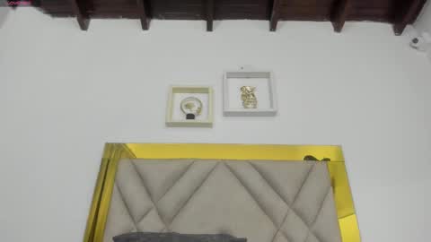  ARI  online show from March 2025 06:18:02 AM