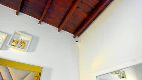  ARI  online show from December 2025 03:23:01 AM