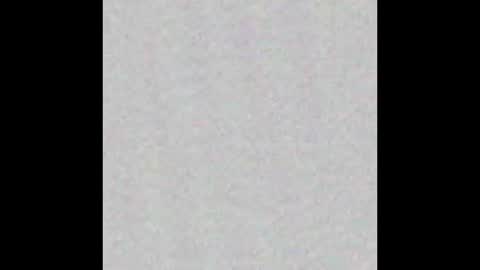 Arianna Collins online show from October 2025 11:19:01 AM