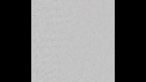 Arianna Collins online show from October 2025 12:05:02 PM