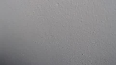 ariannaloovel online show from May 2026 03:09:01 PM