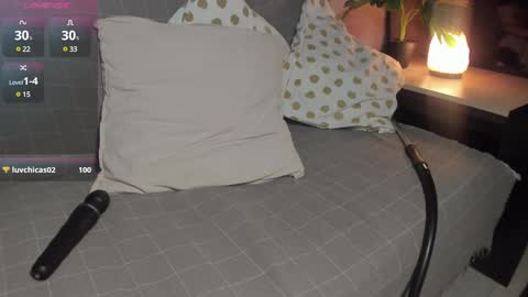 Ariel online show from January 2025 01:31:01 PM