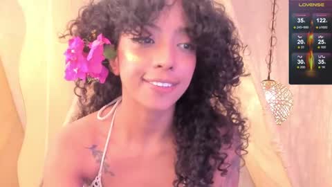 A R I   online show from February 2025 03:27:01 PM