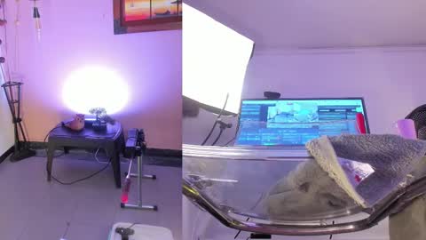  Arianna  online show from November 2025 03:01:02 PM