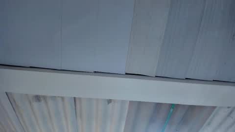 FENIX online show from October 2025 01:06:01 AM