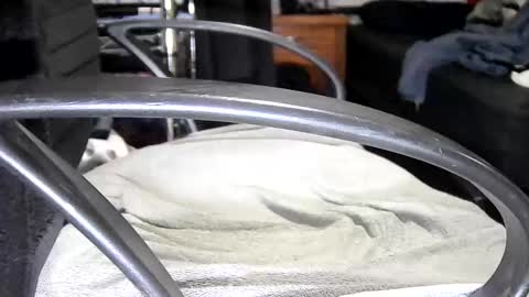 Snapshot of arucard_80 chatting on September 2025 07:48:01 PM arucard_80 online show from September 2025 07:48:01 PM