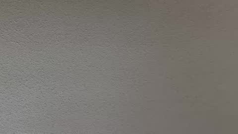 Snapshot of ash123400000 chatting on February 2026 10:27:02 PM ash123400000 online show from February 2026 10:27:02 PM