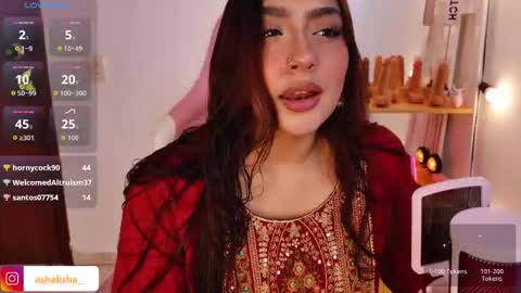 Snapshot of ashalisha chatting on November 2025 02:08:01 PM Asha online show from November 2025 02:08:01 PM