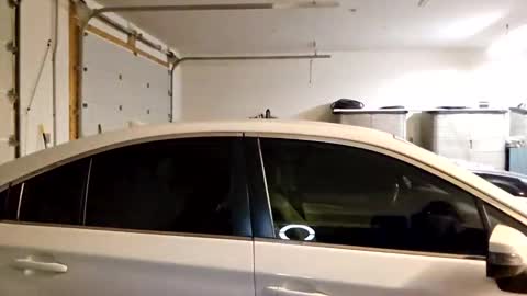 Snapshot of ashelynngrey1986 chatting on February 2025 07:21:01 AM Ashelynn Grey online show from February 2025 07:21:01 AM