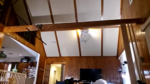 Snapshot of ashelynngrey1986 chatting on February 2025 02:21:01 AM Ashelynn Grey online show from February 2025 02:21:01 AM