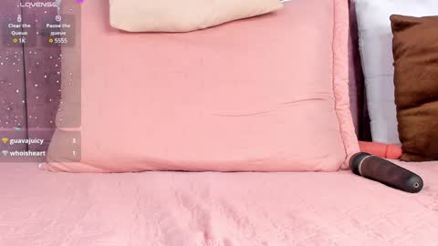 Ashlie online show from January 2025 05:42:01 PM