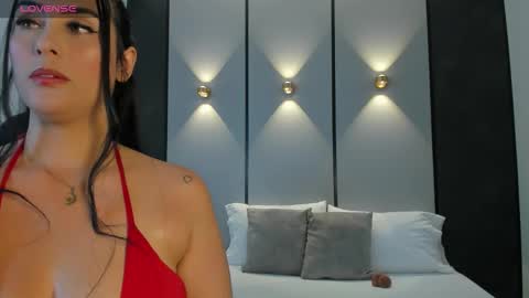 A S H L Y online show from February 2026 12:17:01 PM