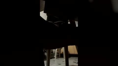 Snapshot of ashutoshkhanna chatting on February 2026 07:32:01 PM ashutoshkhanna online show from February 2026 07:32:01 PM