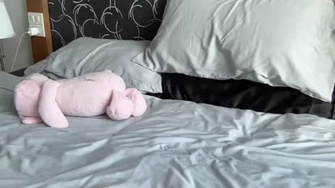 asiangirlandwhiteguy online show from July 2026 04:31:01 AM