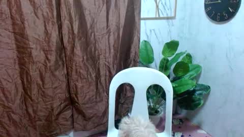 Nico online show from February 2025 11:01:02 AM