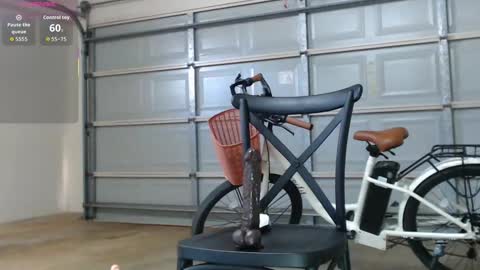 Anne online show from December 2025 03:55:02 AM