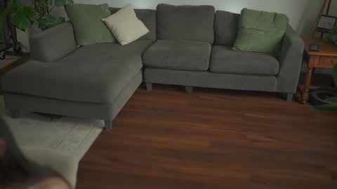 Aspen Wild online show from March 2026 04:17:02 PM