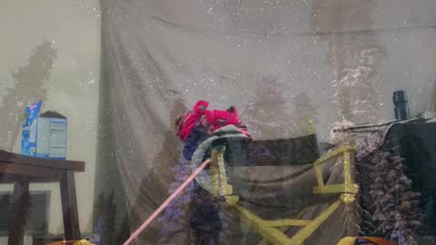 Snapshot of aspiringturtlegirl chatting on March 2026 03:40:01 PM aspiringturtlegirl online show from March 2026 03:40:01 PM