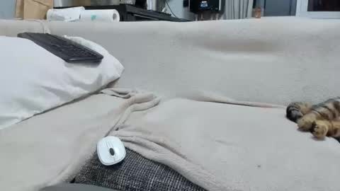 Snapshot of asshunnter chatting on December 2025 04:57:02 PM MARCO online show from December 2025 04:57:02 PM