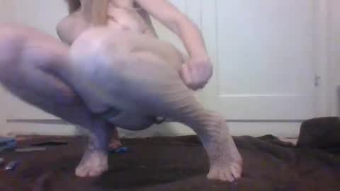 Snapshot of assilem277 chatting on October 2025 09:23:01 PM danni travis online show from October 2025 09:23:01 PM