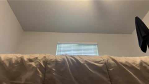 Snapshot of assilem277 chatting on June 2026 07:48:01 PM danni travis online show from June 2026 07:48:01 PM