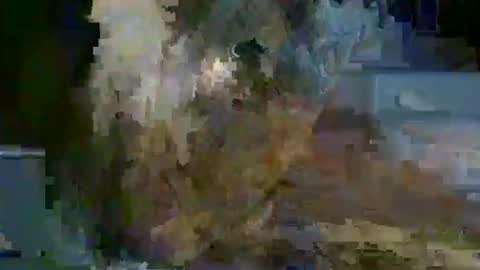 atmlooker420 online show from March 2026 08:30:01 AM