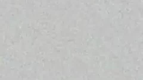 Carolina online show from July 2026 11:58:02 AM