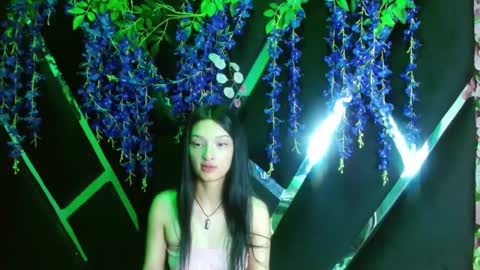 aurora online show from September 2025 09:04:02 PM