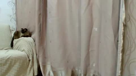 Snapshot of aurora_breeze chatting on February 2026 02:48:02 PM Kiara Xanthe online show from February 2026 02:48:02 PM