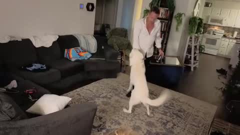 Aurora and Orion online show from October 2025 11:28:02 PM