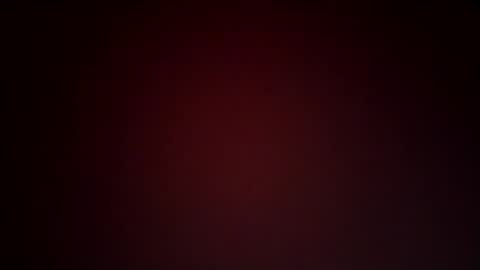 Lex online show from January 2025 10:50:01 PM