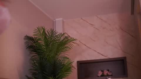 Snapshot of avamaddisson chatting on February 2026 04:39:01 AM Ava online show from February 2026 04:39:01 AM