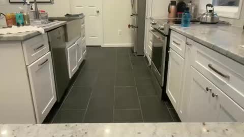 avgdiver online show from March 2026 11:14:01 AM