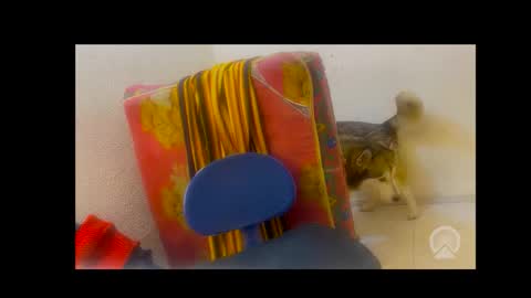 deliciosodemente online show from February 2026 05:02:01 AM