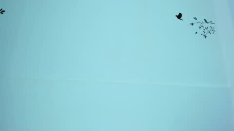 Mariana online show from March 2025 11:12:01 PM