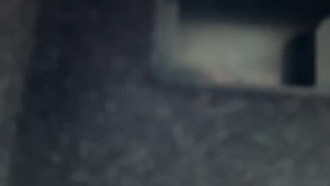 AYBOY online show from November 2025 11:38:02 AM