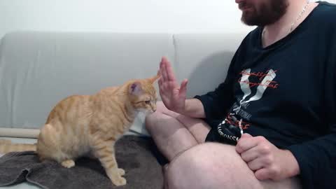 Azer online show from November 2025 10:56:01 PM