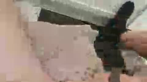 aztecforeskin online show from July 2026 07:46:01 PM