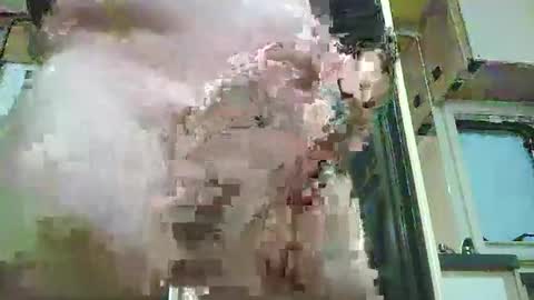 huge mature cock online show from March 2026 09:10:01 PM