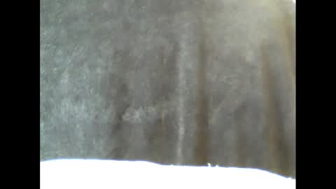 b1gg9inch online show from February 2025 10:55:01 AM