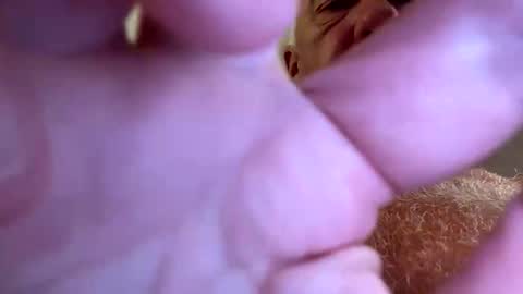 benito online show from September 2025 07:52:02 PM