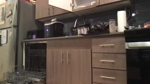 Carly online show from April 2026 04:54:01 AM