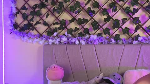  Dani  online show from December 2024 06:51:01 AM