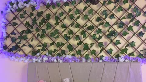  Dani  online show from December 2024 02:45:02 AM