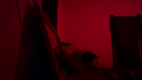 yasmin blake online show from February 2025 07:52:02 AM