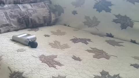 babymom1 online show from March 2025 02:21:02 PM