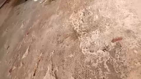 Snapshot of babyy_foxxy chatting on October 2025 09:22:01 PM Megan online show from October 2025 09:22:01 PM