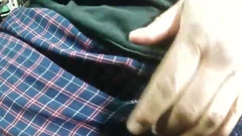 Bagofun online show from January 2025 07:38:02 AM