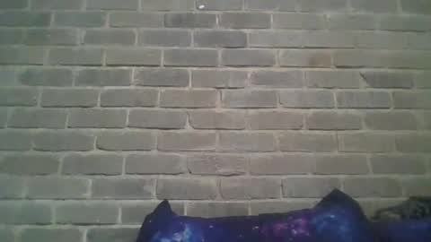 Snapshot of baielekker81578 chatting on February 2025 01:25:01 PM Chaterlain online show from February 2025 01:25:01 PM